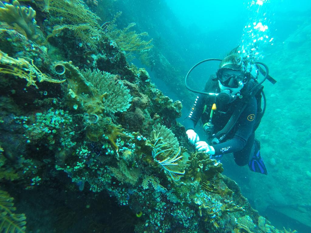 Ocean View Tulamben Dive & Resort Exterior foto