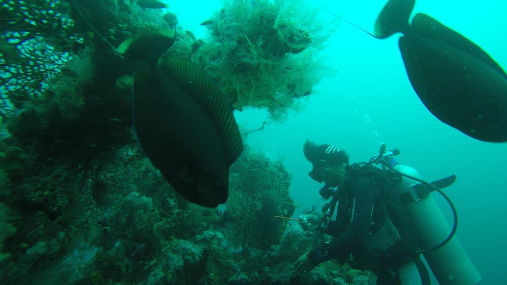 Ocean View Tulamben Dive & Resort Exterior foto